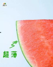 时渔吃瓜宝典,揭秘娱乐圈幕后真相与趣味故事 第3张 时渔吃瓜宝典,揭秘娱乐圈幕后真相与趣味故事 第3张